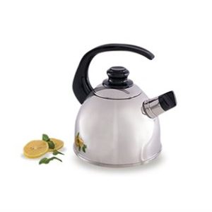 SaladMaster Whistling Tea Kettle