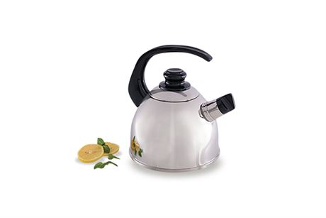 SaladMaster Whistling Tea Kettle