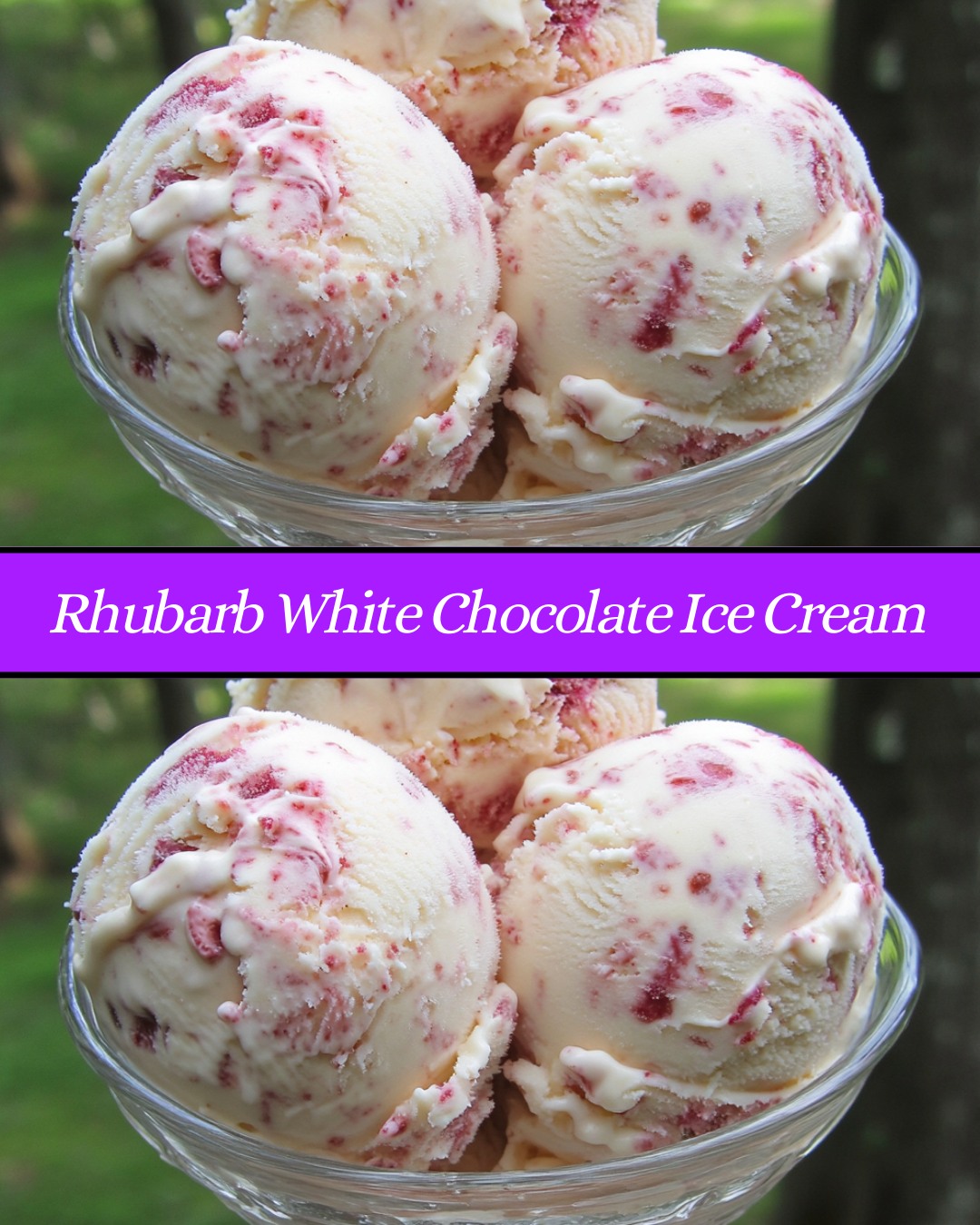 Rhubarb White Chocolate Ice Cream